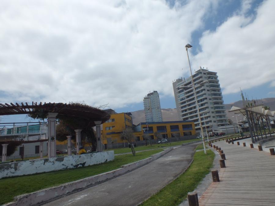 1781309508543 DSCF0726